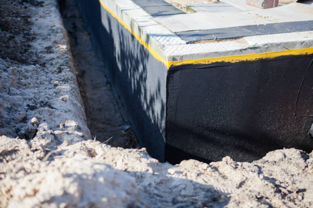 Professional Crawl Space Encapsulation technician working in Alexandria, VA