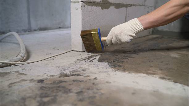 24/7 Emergency Crawl Space Encapsulation experts in Alexandria, VA